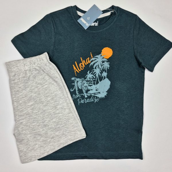 ست پسرانه تیشرت و شلوارک برند پپرتز کد kbtshsh0202-01